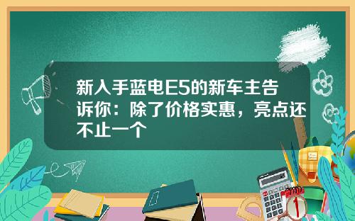 新入手蓝电E5的新车主告诉你：除了价格实惠，亮点还不止一个