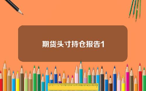 期货头寸持仓报告1