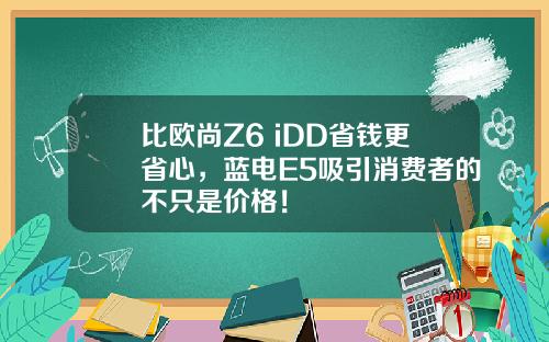 比欧尚Z6 iDD省钱更省心，蓝电E5吸引消费者的不只是价格！