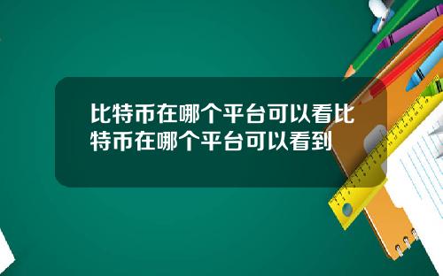 比特币在哪个平台可以看比特币在哪个平台可以看到