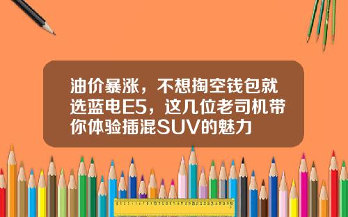 油价暴涨，不想掏空钱包就选蓝电E5，这几位老司机带你体验插混SUV的魅力