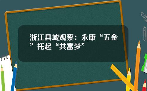 浙江县域观察：永康“五金”托起“共富梦”