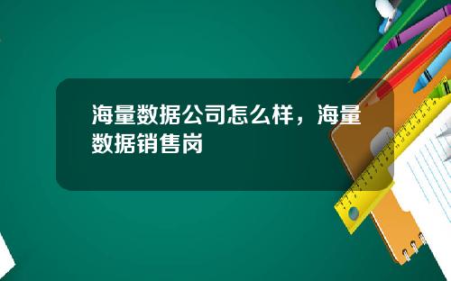海量数据公司怎么样，海量数据销售岗
