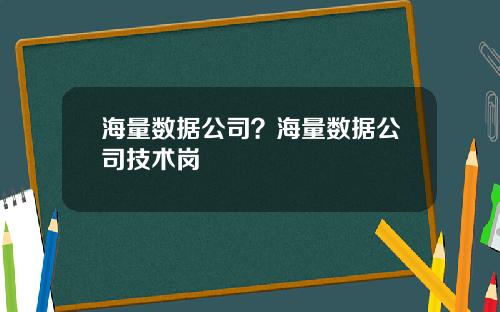 海量数据公司？海量数据公司技术岗