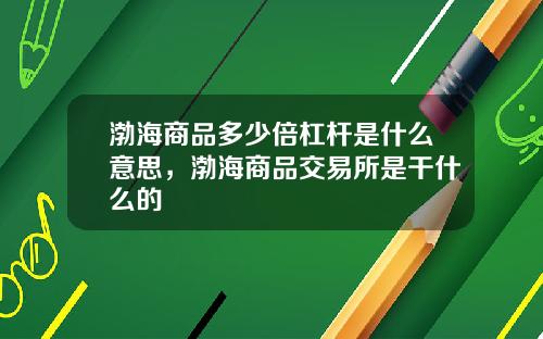 渤海商品多少倍杠杆是什么意思，渤海商品交易所是干什么的