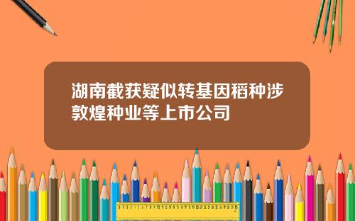 湖南截获疑似转基因稻种涉敦煌种业等上市公司