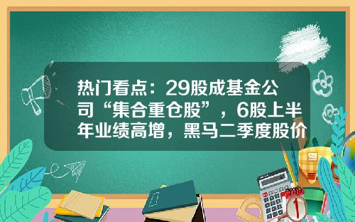 热门看点：29股成基金公司“集合重仓股”，6股上半年业绩高增，黑马二季度股价近翻倍