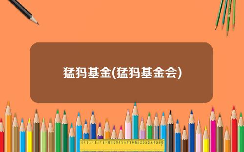 猛犸基金(猛犸基金会)