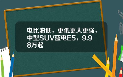 电比油低，更低更大更强，中型SUV蓝电E5，9.98万起