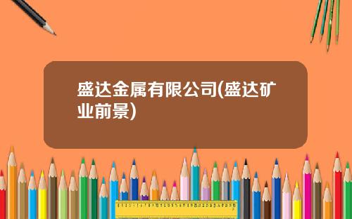 盛达金属有限公司(盛达矿业前景)