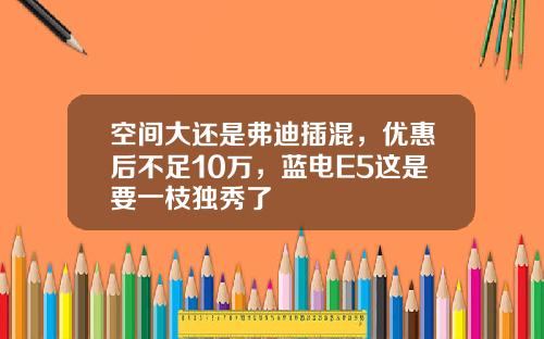 空间大还是弗迪插混，优惠后不足10万，蓝电E5这是要一枝独秀了
