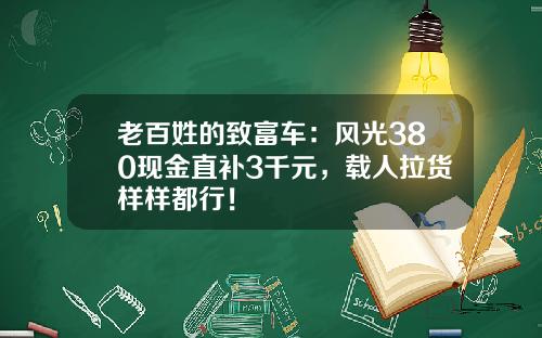老百姓的致富车：风光380现金直补3千元，载人拉货样样都行！