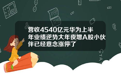 营收4540亿元华为上半年业绩逆势大年夜增A股小伙伴已经意念涨停了