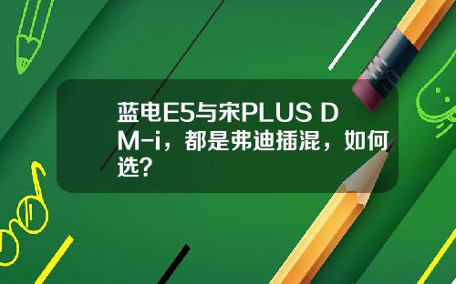 蓝电E5与宋PLUS DM-i，都是弗迪插混，如何选？