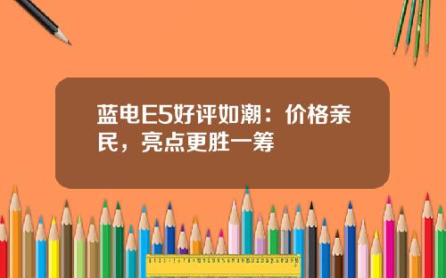 蓝电E5好评如潮：价格亲民，亮点更胜一筹