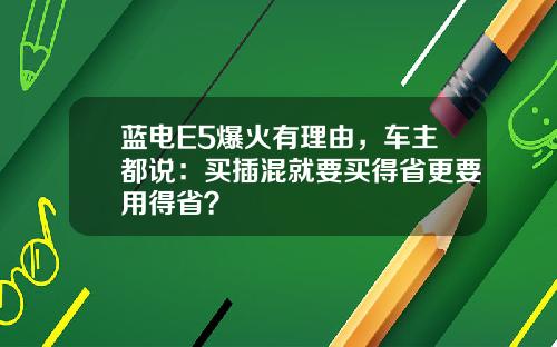 蓝电E5爆火有理由，车主都说：买插混就要买得省更要用得省？
