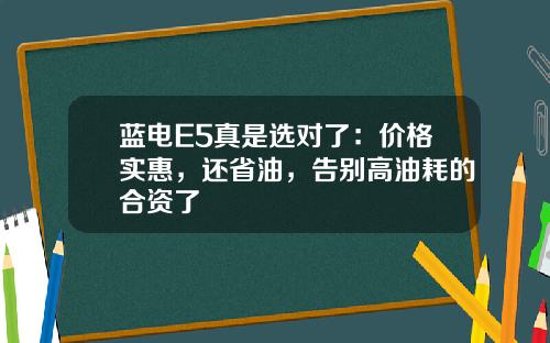 蓝电E5真是选对了：价格实惠，还省油，告别高油耗的合资了
