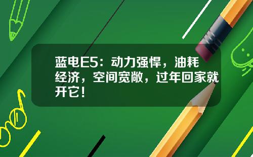 蓝电E5：动力强悍，油耗经济，空间宽敞，过年回家就开它！