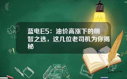 蓝电E5：油价高涨下的明智之选，这几位老司机为你揭秘