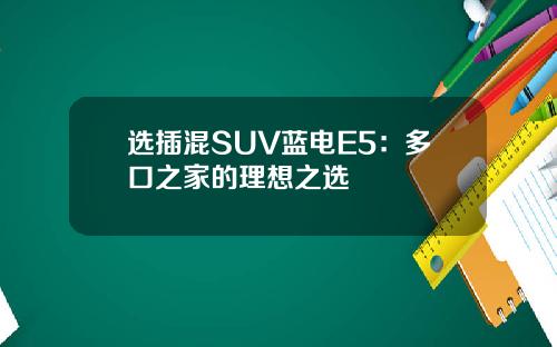 选插混SUV蓝电E5：多口之家的理想之选