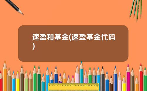 速盈和基金(速盈基金代码)