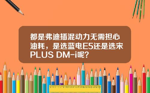 都是弗迪插混动力无需担心油耗，是选蓝电E5还是选宋PLUS DM-i呢？
