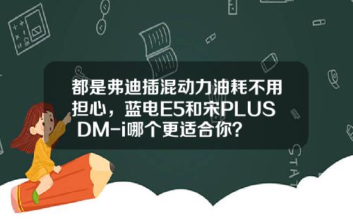 都是弗迪插混动力油耗不用担心，蓝电E5和宋PLUS DM-i哪个更适合你？