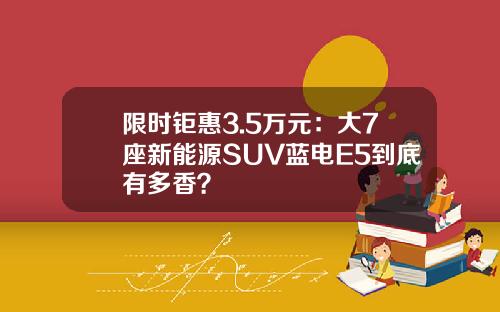 限时钜惠3.5万元：大7座新能源SUV蓝电E5到底有多香？