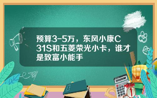 预算3-5万，东风小康C31S和五菱荣光小卡，谁才是致富小能手