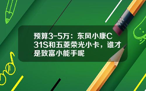 预算3-5万：东风小康C31S和五菱荣光小卡，谁才是致富小能手呢
