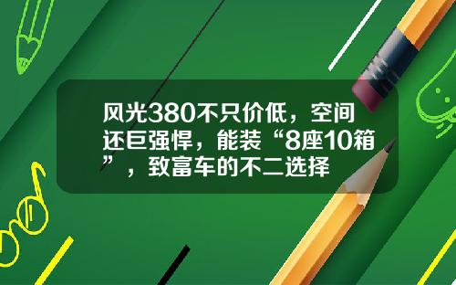 风光380不只价低，空间还巨强悍，能装“8座10箱”，致富车的不二选择