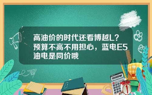 高油价的时代还看博越L？预算不高不用担心，蓝电E5油电是同价哦