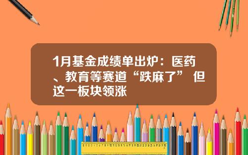 1月基金成绩单出炉：医药、教育等赛道“跌麻了” 但这一板块领涨