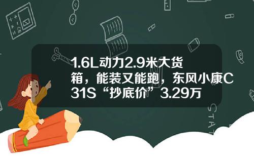 1.6L动力2.9米大货箱，能装又能跑，东风小康C31S“抄底价”3.29万元！