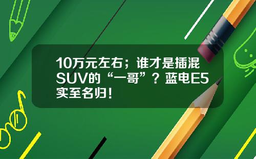 10万元左右；谁才是插混SUV的“一哥”？蓝电E5实至名归！