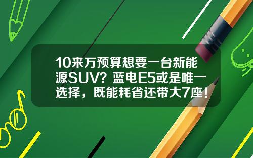10来万预算想要一台新能源SUV？蓝电E5或是唯一选择，既能耗省还带大7座！