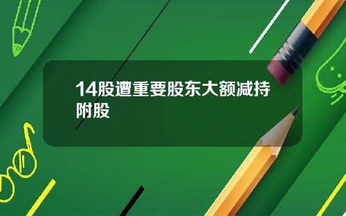14股遭重要股东大额减持附股