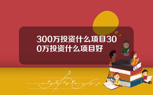 300万投资什么项目300万投资什么项目好