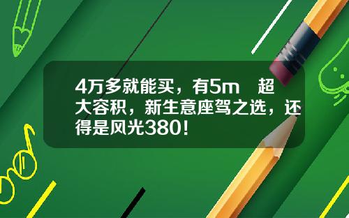 4万多就能买，有5m³超大容积，新生意座驾之选，还得是风光380！