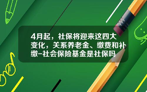4月起，社保将迎来这四大变化，关系养老金、缴费和补缴-社会保险基金是社保吗