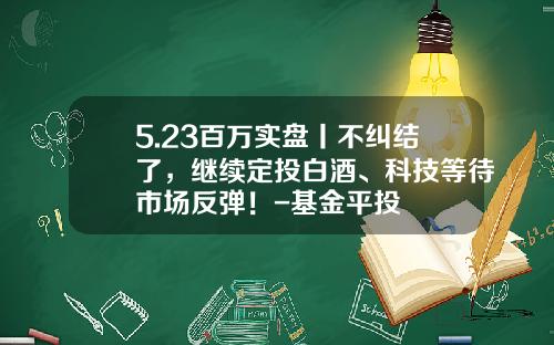 5.23百万实盘丨不纠结了，继续定投白酒、科技等待市场反弹！-基金平投