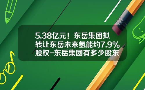 5.38亿元！东岳集团拟转让东岳未来氢能约7.9%股权-东岳集团有多少股东