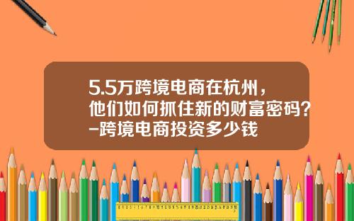 5.5万跨境电商在杭州，他们如何抓住新的财富密码？-跨境电商投资多少钱