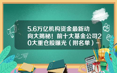 5.6万亿机构资金最新动向大揭秘！前十大基金公司20大重仓股曝光（附名单）-全部基金公司
