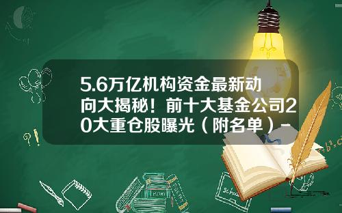 5.6万亿机构资金最新动向大揭秘！前十大基金公司20大重仓股曝光（附名单）-机构和基金