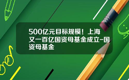 500亿元目标规模！上海又一百亿国资母基金成立-国资母基金