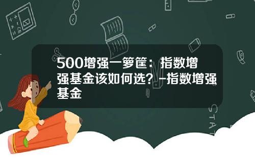 500增强一箩筐：指数增强基金该如何选？-指数增强基金