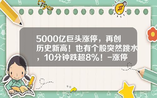 5000亿巨头涨停，再创历史新高！也有个股突然跳水，10分钟跌超8%！-涨停是涨多少