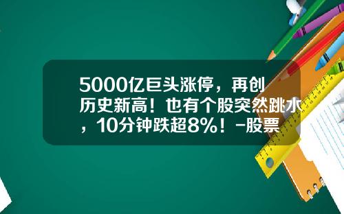 5000亿巨头涨停，再创历史新高！也有个股突然跳水，10分钟跌超8%！-股票板块相关新闻资讯今日