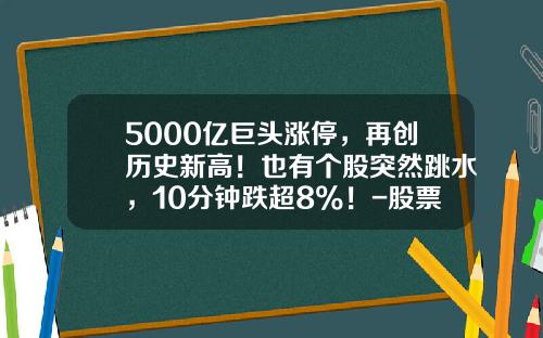 5000亿巨头涨停，再创历史新高！也有个股突然跳水，10分钟跌超8%！-股票涨停一般是多少